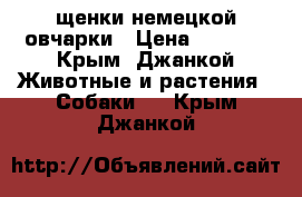 щенки немецкой овчарки › Цена ­ 3 000 - Крым, Джанкой Животные и растения » Собаки   . Крым,Джанкой